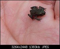 Kamera (Video- und Fotoqualität) von Galaxy S II-2011-06-09-17.34.25.jpg