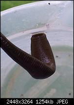 Kamera (Video- und Fotoqualität) von Galaxy S II-2011-06-09-18.32.37.jpg