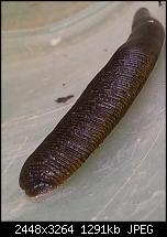 Kamera (Video- und Fotoqualität) von Galaxy S II-2011-06-09-18.21.59.jpg