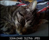 Kamera (Video- und Fotoqualität) von Galaxy S II-2011-06-10-09.18.53.jpg