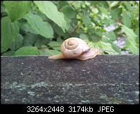 Kamera (Video- und Fotoqualität) von Galaxy S II-2011-06-09-10.55.33.jpg