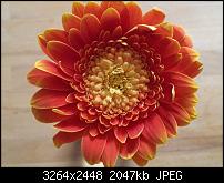 Kamera (Video- und Fotoqualität) von Galaxy S II-2011-06-11-15.19.19.jpg