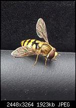 Kamera (Video- und Fotoqualität) von Galaxy S II-2011-06-13-11.34.42.jpg