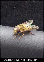 Kamera (Video- und Fotoqualität) von Galaxy S II-2011-06-13-11.35.58.jpg