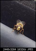 Kamera (Video- und Fotoqualität) von Galaxy S II-2011-06-13-11.35.12.jpg