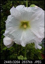 Kamera (Video- und Fotoqualität) von Galaxy S II-2011-06-24-15.41.51.jpg