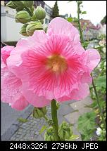 Kamera (Video- und Fotoqualität) von Galaxy S II-2011-06-24-15.41.21.jpg