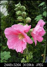 Kamera (Video- und Fotoqualität) von Galaxy S II-2011-06-24-15.42.02.jpg