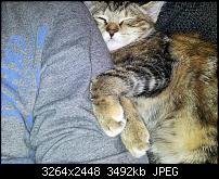 Kamera (Video- und Fotoqualität) von Galaxy S II-2011-06-26-16.47.02.jpg