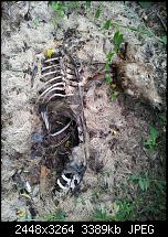 Kamera (Video- und Fotoqualität) von Galaxy S II-2011-06-23-18.08.02.jpg