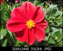 Kamera (Video- und Fotoqualität) von Galaxy S II-2011-07-07-15.42.18.jpg