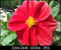 Kamera (Video- und Fotoqualität) von Galaxy S II-2011-07-07-15.42.47.jpg