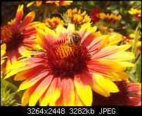 Kamera (Video- und Fotoqualität) von Galaxy S II-2011-07-07-15.52.52.jpg