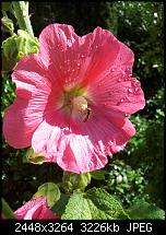 Kamera (Video- und Fotoqualität) von Galaxy S II-2011-07-08-08.59.07.jpg