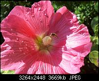 Kamera (Video- und Fotoqualität) von Galaxy S II-2011-07-08-08.59.13.jpg