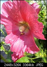 Kamera (Video- und Fotoqualität) von Galaxy S II-2011-07-08-08.59.34.jpg