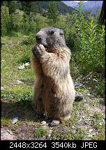 Kamera (Video- und Fotoqualität) von Galaxy S II-2011-07-02-10.13.08.jpg