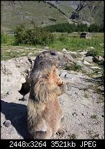 Kamera (Video- und Fotoqualität) von Galaxy S II-2011-07-03-09.11.32.jpg