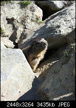 Kamera (Video- und Fotoqualität) von Galaxy S II-2011-07-03-09.24.30.jpg