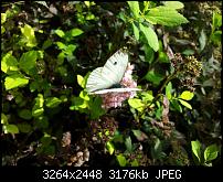 Kamera (Video- und Fotoqualität) von Galaxy S II-20110718_143659.jpg