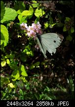 Kamera (Video- und Fotoqualität) von Galaxy S II-20110718_143704.jpg