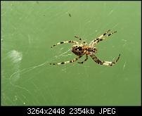 Kamera (Video- und Fotoqualität) von Galaxy S II-20110817_182345.jpg