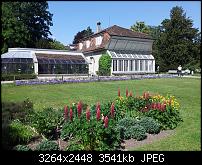 Dein bestes Foto, welches Du mit dem SGS2 gemacht hast ...-2011-05-13-15.19.56.jpg