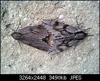 Dein bestes Foto, welches Du mit dem SGS2 gemacht hast ...-2011-06-11-17.58.41.jpg