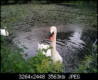 Dein bestes Foto, welches Du mit dem SGS2 gemacht hast ...-2011-07-12-17.01.03.jpg