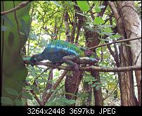 Dein bestes Foto, welches Du mit dem SGS2 gemacht hast ...-20110803_111228.jpg