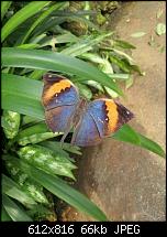 Dein bestes Foto, welches Du mit dem SGS2 gemacht hast ...-29.07.11-1.jpg