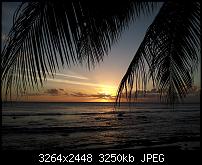 Dein bestes Foto, welches Du mit dem SGS2 gemacht hast ...-2011-07-18-17.36.57.jpg