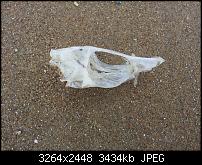 Dein bestes Foto, welches Du mit dem SGS2 gemacht hast ...-20110818_122649.jpg