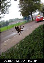 Dein bestes Foto, welches Du mit dem SGS2 gemacht hast ...-20110813_092801.jpg