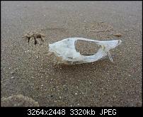 Kamera (Video- und Fotoqualität) von Galaxy S II-20110818_122620.jpg