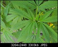 Kamera (Video- und Fotoqualität) von Galaxy S II-20110817_122341.jpg