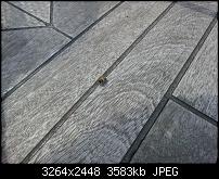 Dein bestes Foto, welches Du mit dem SGS2 gemacht hast ...-2011-08-06-16.36.49.jpg