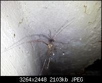 Kamera (Video- und Fotoqualität) von Galaxy S II-20110819_175002.jpg