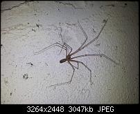 Kamera (Video- und Fotoqualität) von Galaxy S II-20110819_175419.jpg