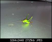 Kamera (Video- und Fotoqualität) von Galaxy S II-20110819_173729.jpg