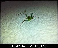 Kamera (Video- und Fotoqualität) von Galaxy S II-20110819_172736.jpg