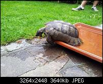 Dein bestes Foto, welches Du mit dem SGS2 gemacht hast ...-2011-08-14-13.18.57.jpg