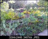 Dein bestes Foto, welches Du mit dem SGS2 gemacht hast ...-20110813_181828.jpg