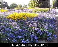 Dein bestes Foto, welches Du mit dem SGS2 gemacht hast ...-20110813_181836.jpg