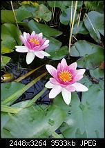 Dein bestes Foto, welches Du mit dem SGS2 gemacht hast ...-2011-08-19-12.25.01.jpg