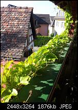 Dein bestes Foto, welches Du mit dem SGS2 gemacht hast ...-2011-05-13-17.55.14.jpg