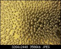 Dein bestes Foto, welches Du mit dem SGS2 gemacht hast ...-2011-08-28-15.50.51.jpg