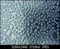 Dein bestes Foto, welches Du mit dem SGS2 gemacht hast ...-2011-08-28-15.54.13.jpg