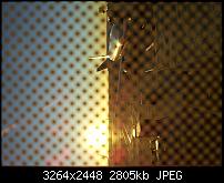 Dein bestes Foto, welches Du mit dem SGS2 gemacht hast ...-2011-06-22-06.15.47.jpg