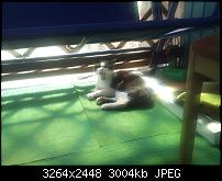 Dein bestes Foto, welches Du mit dem SGS2 gemacht hast ...-p7usmic4.jpg